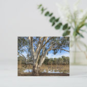 ワーレゴの銀行で シーズンポストカード (スタンド正面)