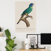 ワ rainbow_lorikeet 若鳥 ハシボソインコ juvenilia Trichoglos ポスター (ホームオフィス)