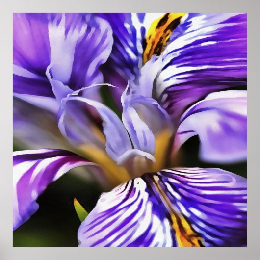 ヴァイオレット薄紫と紫の植物芸術のアイリス ポスター (正面)
