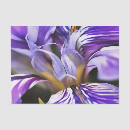 ヴァイオレット薄紫と紫の植物芸術のアイリス 薄葉紙 (正面)
