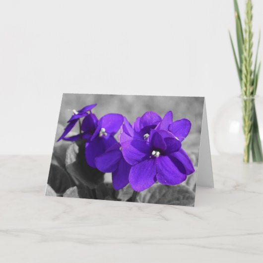 ヴァイオレット、カード カード (正面)