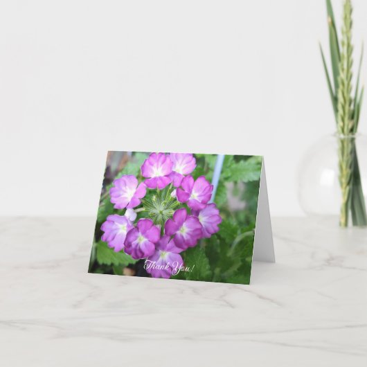 ヴァイオレット・ヴェルバナ サンキューカード (正面)