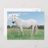 ヴァイサー・シムル・アウフイーナー・ウィーゼ ポストカード (正面/裏面)