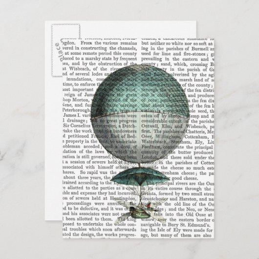 ヴァイソー気孔ホットエアバルーン ポストカード (正面/裏面)