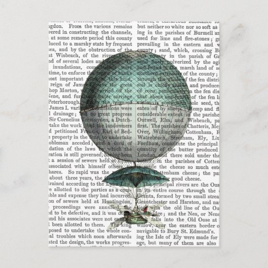 ヴァイソー気孔ホットエアバルーン ポストカード (正面)