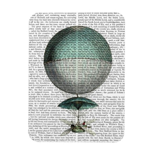 ヴァイソー気孔ホットエアバルーン マグネット (縦)