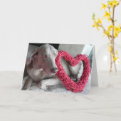 ヴァイマラナー犬のレインのバレンタインカード カード (黄色い花)