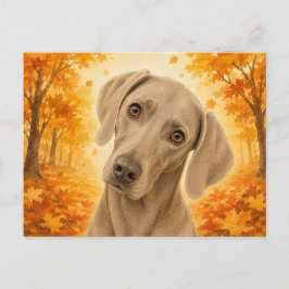ヴァイマラナー 紅葉の森の犬 ポストカード