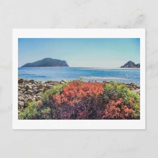 ヴァシリティ – ヴェネチコ&ケープアクリタス – はがき (正面)