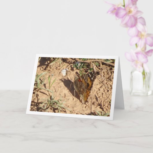 ヴァネサカルドゥイ色彩の鮮やか – ラディ・バタフライ・カード カード (蘭)