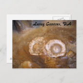 ヴァリウス・カーヴァンス ポストカード (正面/裏面)