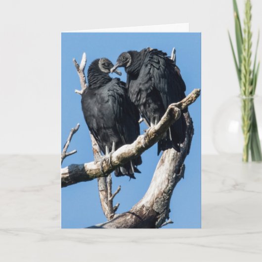 ヴァルチャーバレンタインデホリディカード シーズンカード (正面)