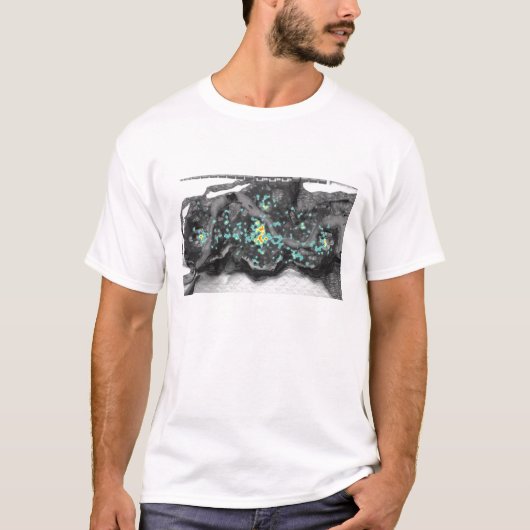 ヴァルハラHeatmap Tシャツ (正面)