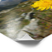 ヴァレアルプススイス フォトプリント            (角)