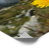 ヴァレアルプススイス ポスター (角)