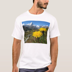 ヴァレアルプススイス Tシャツ