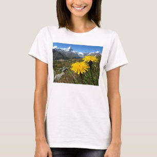 ヴァレアルプススイス Tシャツ