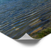 ヴァレアルプス・ステリゼ ポスター (角)