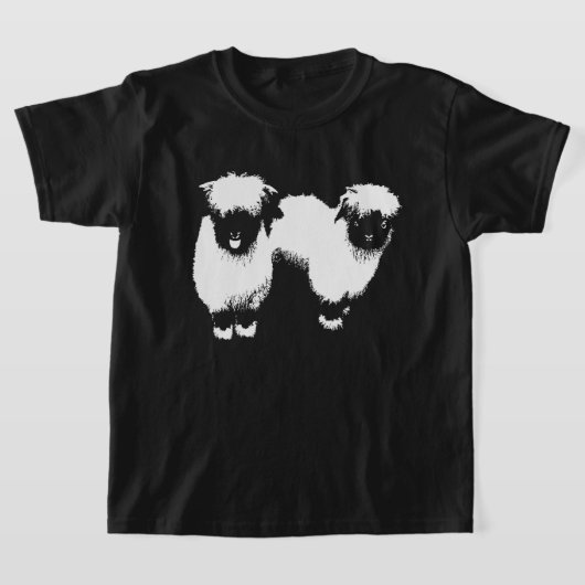 ヴァレティー Tシャツ (レイダウン)