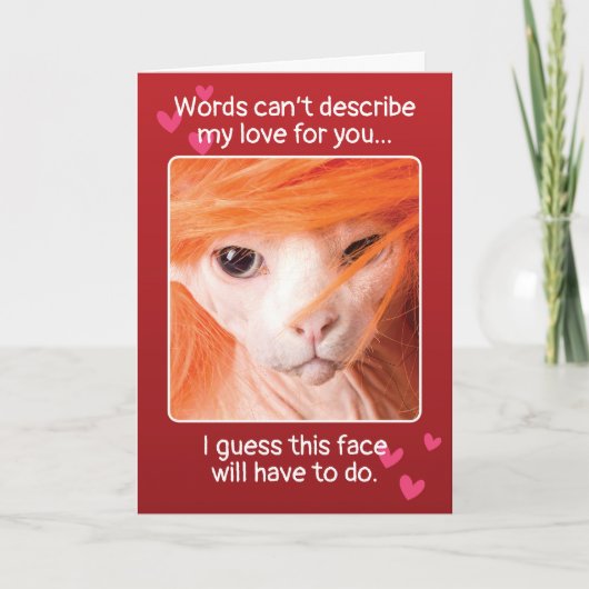 ヴァレンティおもしろいンズデイセクシー猫 シーズンカード (正面)