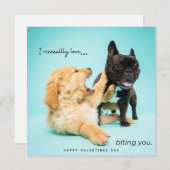 ヴァレンティおもしろいンデイカード – ドッグヴァレンティーンズカード シーズンカード (正面/裏面)