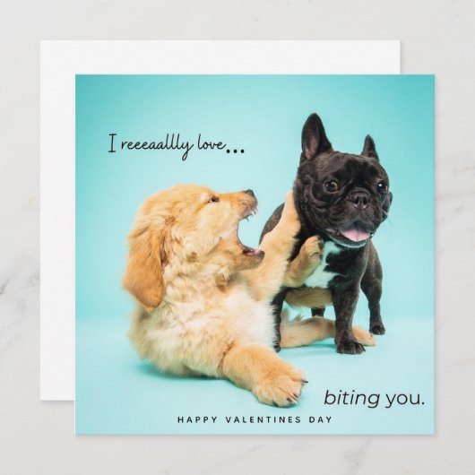 ヴァレンティおもしろいンデイカード – ドッグヴァレンティーンズカード シーズンカード (正面/裏面)