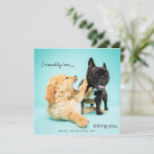 ヴァレンティおもしろいンデイカード – ドッグヴァレンティーンズカード シーズンカード (スタンド正面)