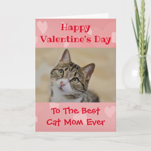 ヴァレンティーンズデイキャット最高のワーズ母のペット写真 シーズンカード (正面)