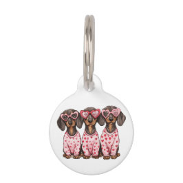 ヴァレンティーンズデイダシュンドドッグス ペット　ネームタグ