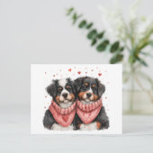 ヴァレンティーンズデイベルネーゼマウンテンドッグス シーズンポストカード (スタンド正面)