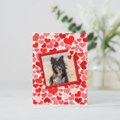 ヴァレンティ縁どンコリードッグハート シーズンポストカード (スタンド正面)