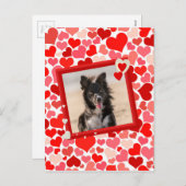 ヴァレンティ縁どンコリードッグハート シーズンポストカード (正面/裏面)