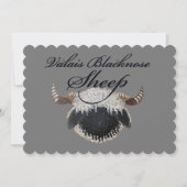 ヴァレ・ブラックノーズのカード 招待状 (正面)