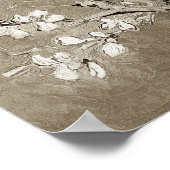 ヴァンゴッホアーモンドブランチ開花セピア ポスター (角)