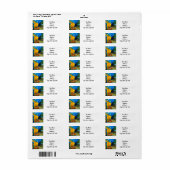 ヴァンゴッホカフェテラスat Night ラベル (フルシート)