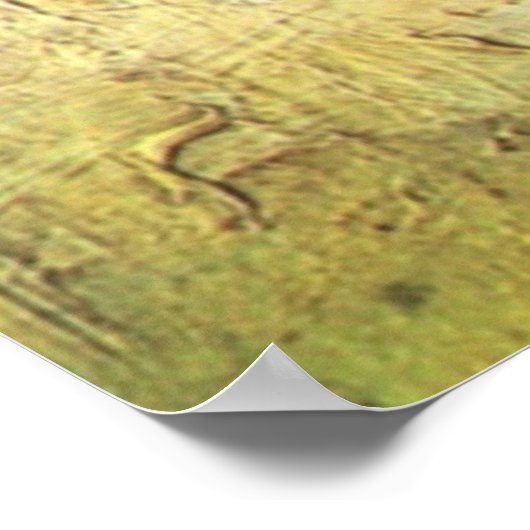 ヴァンゴッホポスター – ジプシーWキャラバンの陣地 ポスター (角)