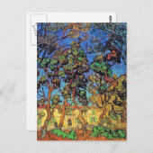 ヴァンゴッホ – 聖ポール病院の庭の木 ポストカード (正面/裏面)