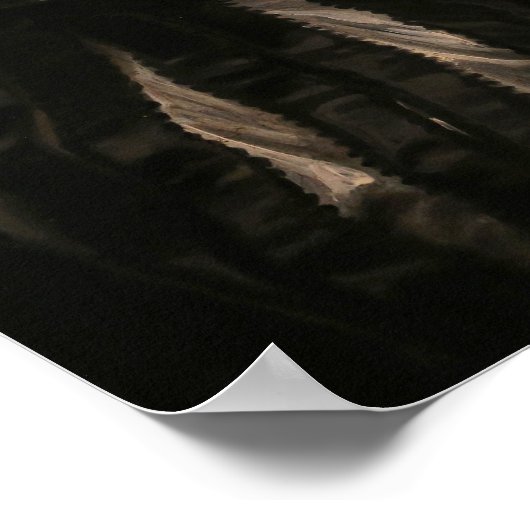 ヴァンダイク – ポートレートオブアンナウェイク ポスター (角)