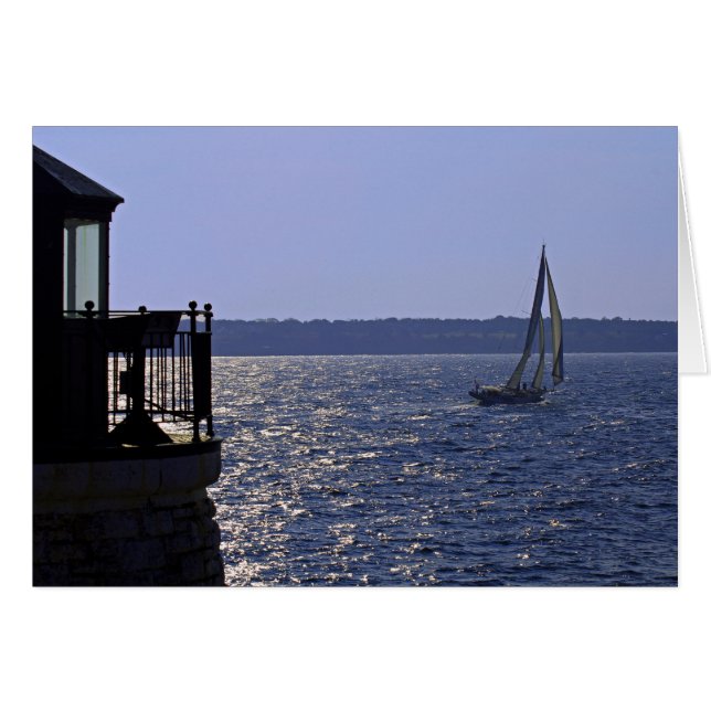 ヴァンテージポイント (正面横)