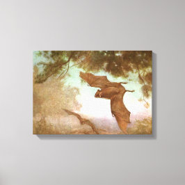 ヴァンパイアこうもりby CE Swan,ヴィンテージ野生動物 キャンバスプリント