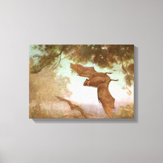 ヴァンパイアこうもりby CE Swan,ヴィンテージ野生動物 キャンバスプリント (正面)