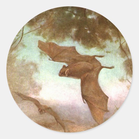 ヴァンパイアこうもりby CE Swan,ヴィンテージ野生動物 ラウンドシール (正面)