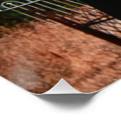 ヴァンパイアは墓地を訪れる ポスター (コーナー)