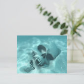 ヴァンパイアは泳げない ポストカード (スタンド正面)