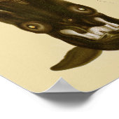 ヴァンパイアスクワックブラックシークリーチャーアートプリント ポスター (角)