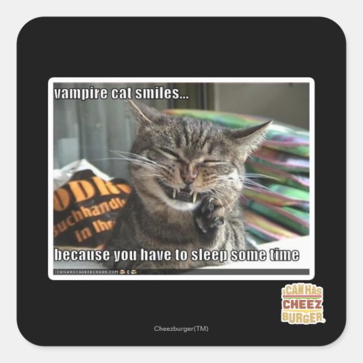 ヴァンパイア猫スマイル スクエアシール (正面)