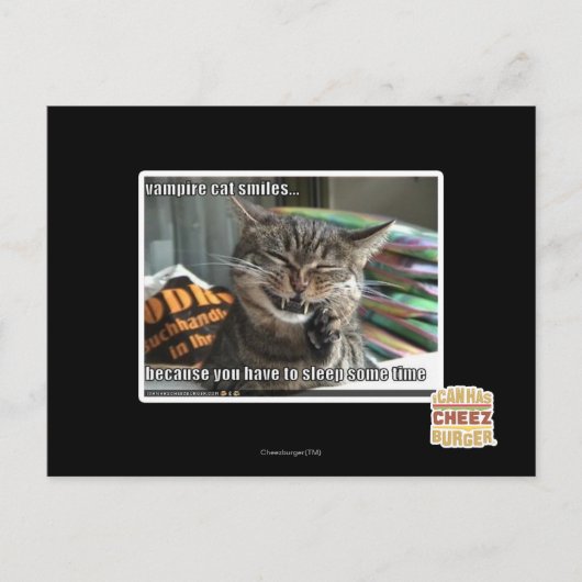 ヴァンパイア猫スマイル ポストカード (正面)