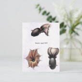 ヴァンパイアSQUIDポストカード ポストカード (スタンド正面)