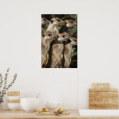 ヴァンヘルシンメルカッツのポスター ポスター (キッチン)