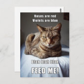 ヴァンレ食べ物を与えン猫私の詩 ポストカード (正面/裏面)